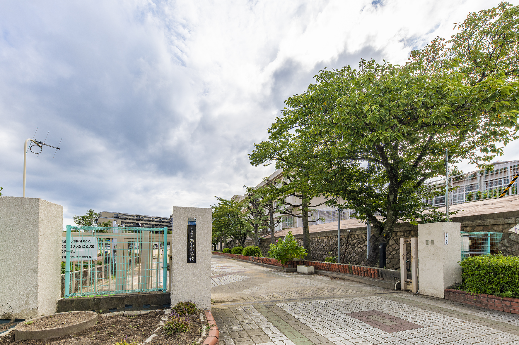 西山小学校（約800m）