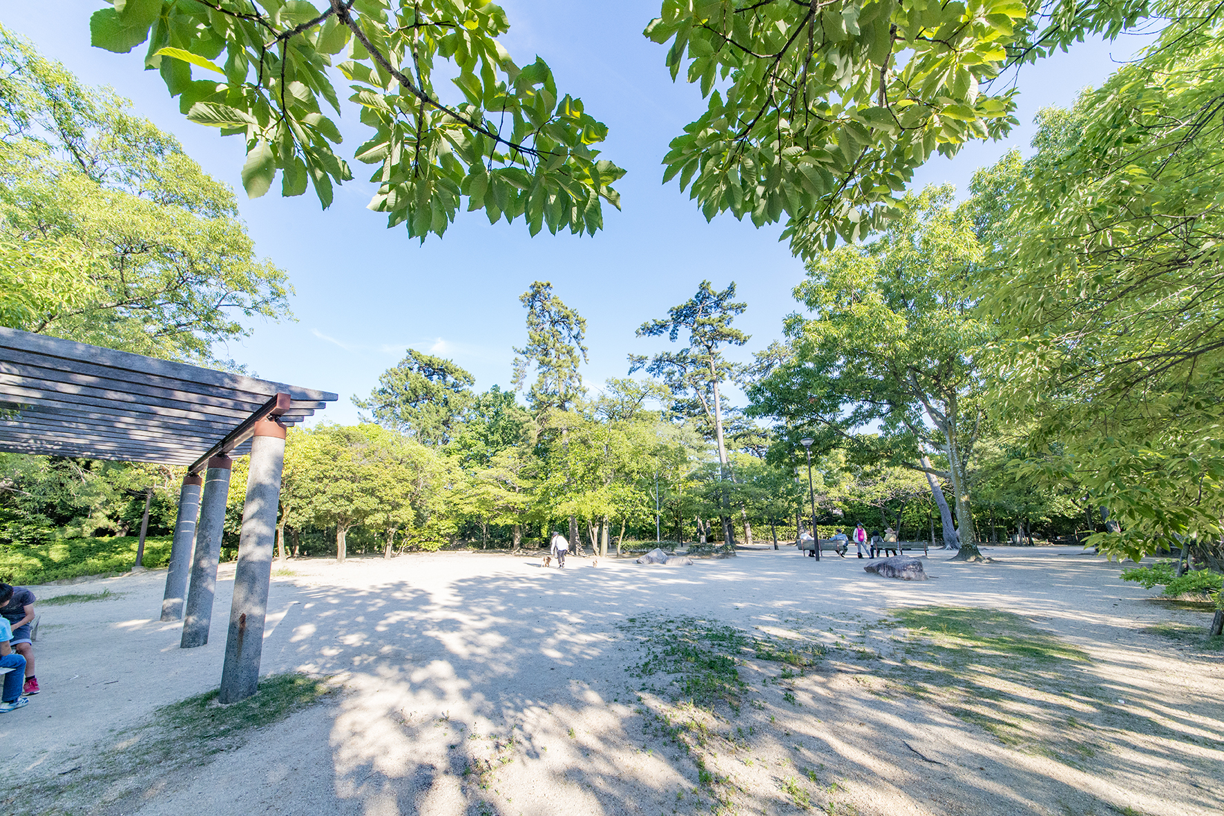 西田公園（約240m）