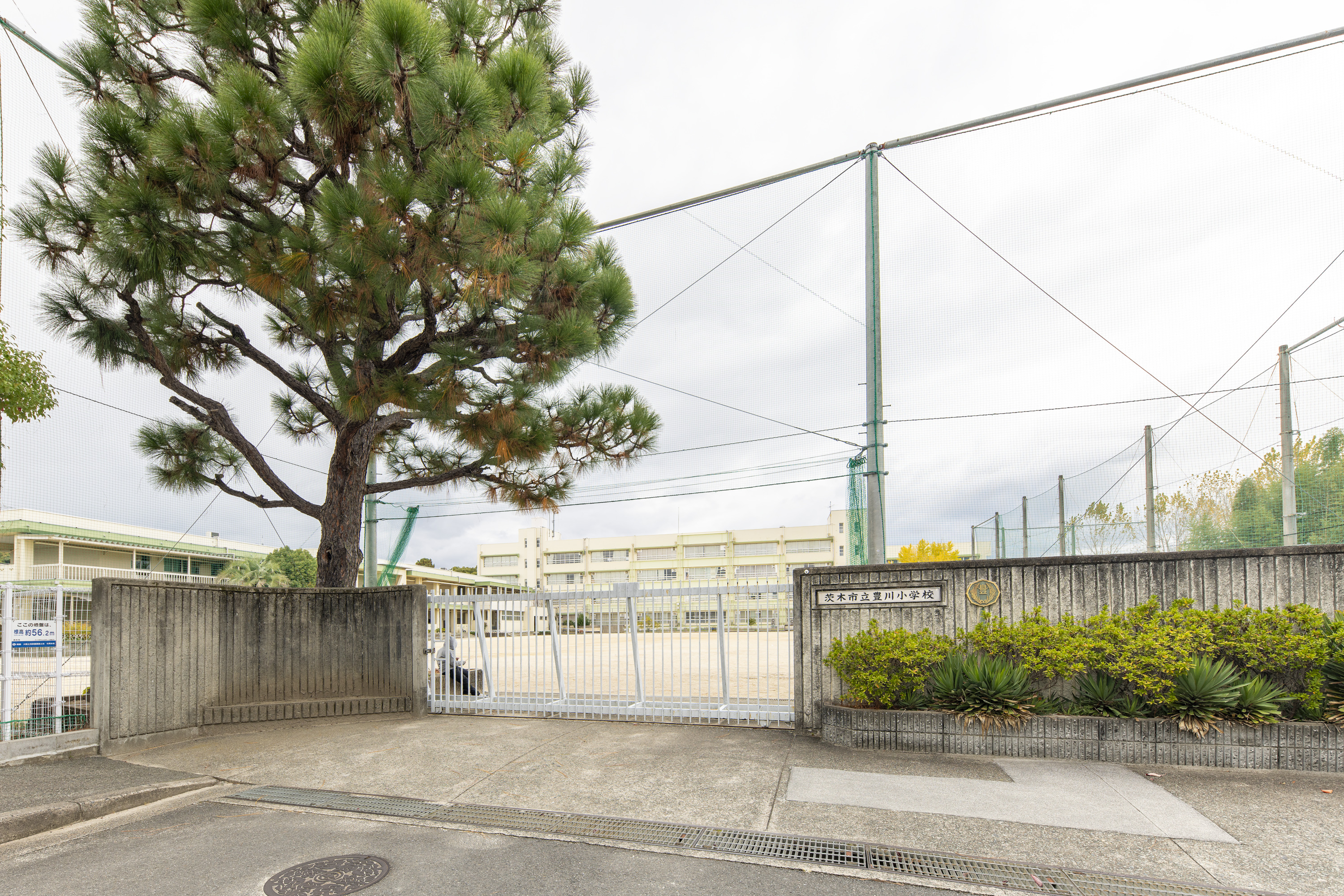 茨木市立豊川小学校（約1500m）