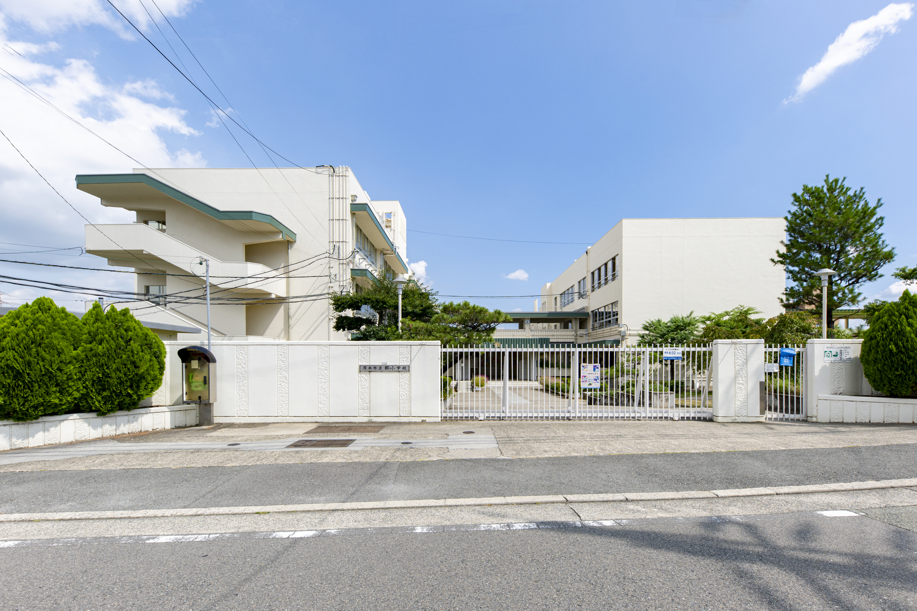 郡小学校（約900m）