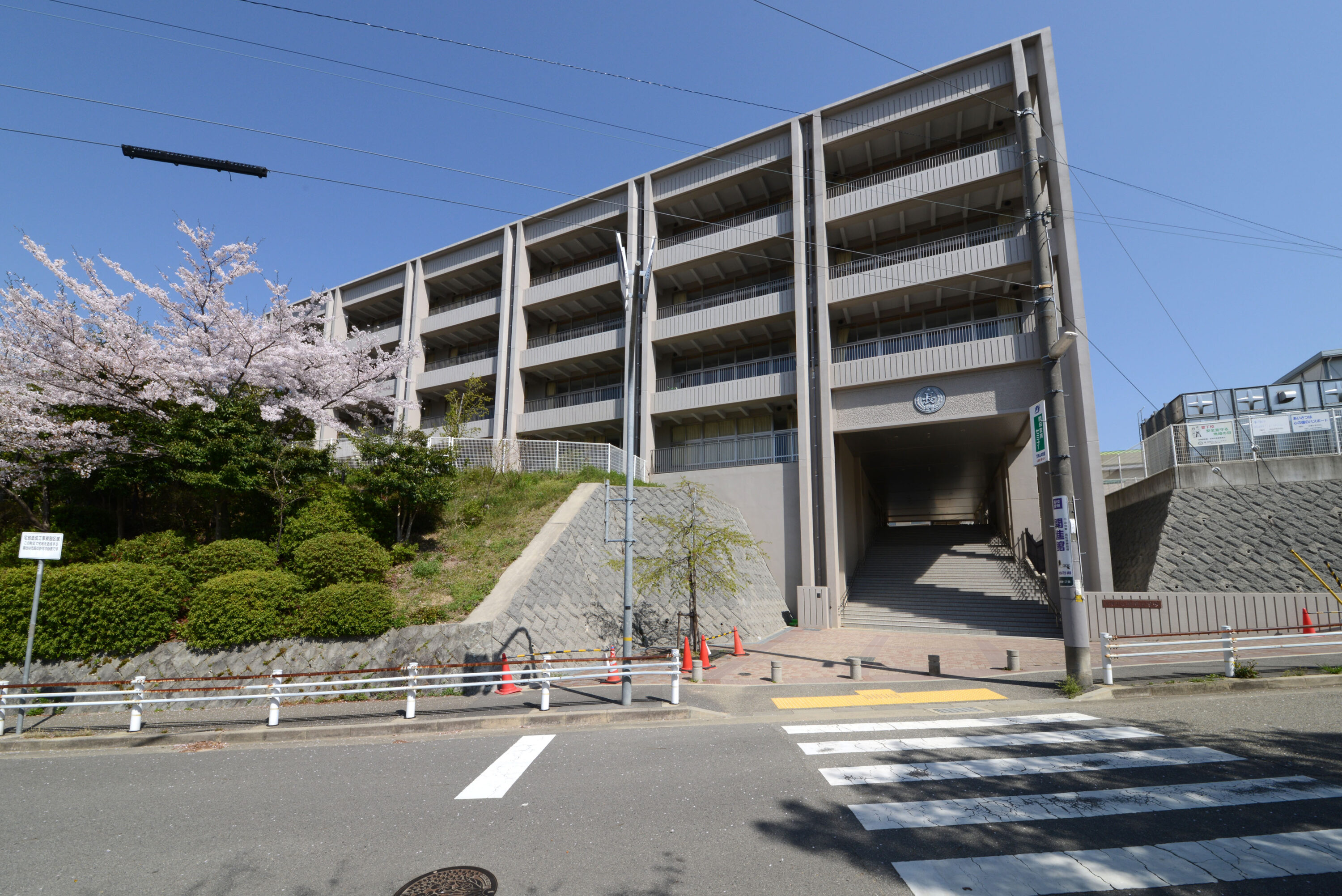 長尾小学校（約800m）